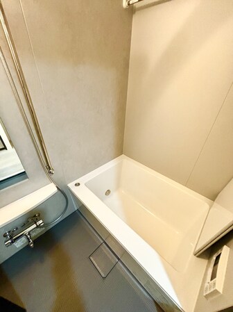 ブリックレジデンス南青山(BRICK RESIDENCE南青山)の物件内観写真